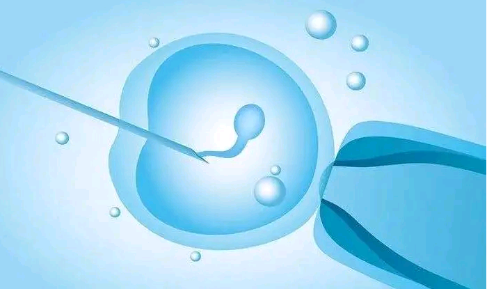 44岁卵巢早衰中药调理&如何选择供卵女,十一种饮食滋补卵巢促进排卵