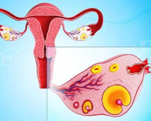 国内试管供卵试管流程及费用&口碑好供卵试管婴儿,试管婴儿取卵后月经不正常