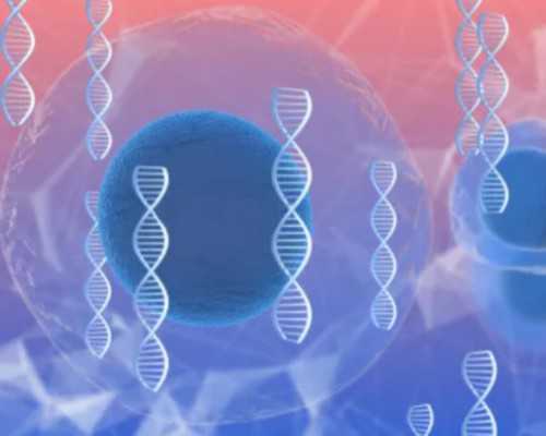 合法代怀多少钱_代怀哪家公司好,北京供卵试管生一对龙凤胎价格多少?内含供