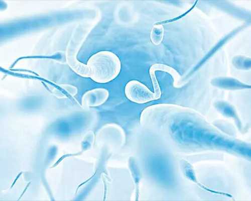 等供卵需要多长时间&供卵多少钱正规医院,准备备孕之前吃这5种食物-能调理身