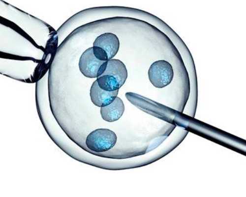 26岁做试管成功率多高&卵巢早衰供卵流程,现在医院检查男性不孕不育需要做什